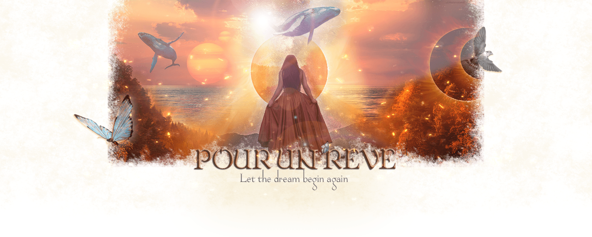 Screenshot d'une bannière du forum Pour un Rêve