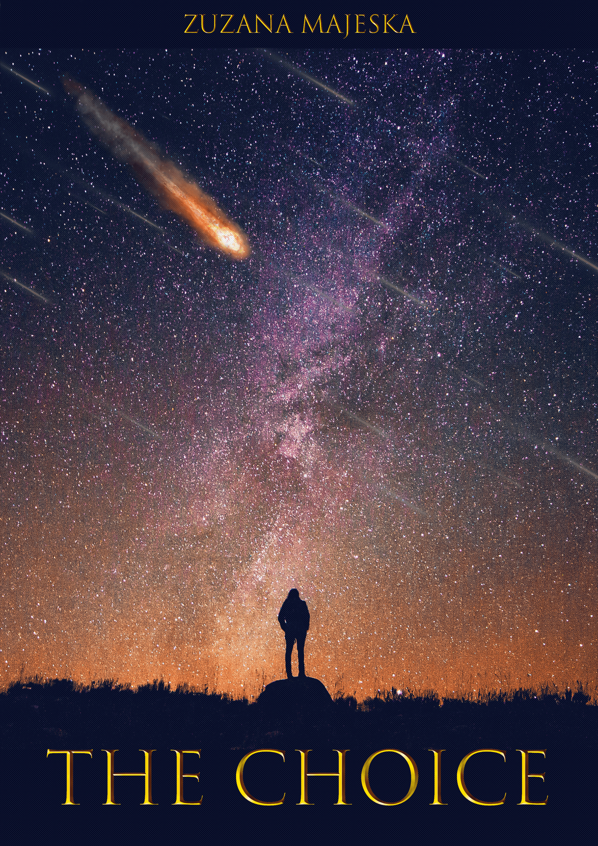 Couverture de livre inventée pour un roman nommé The Choice